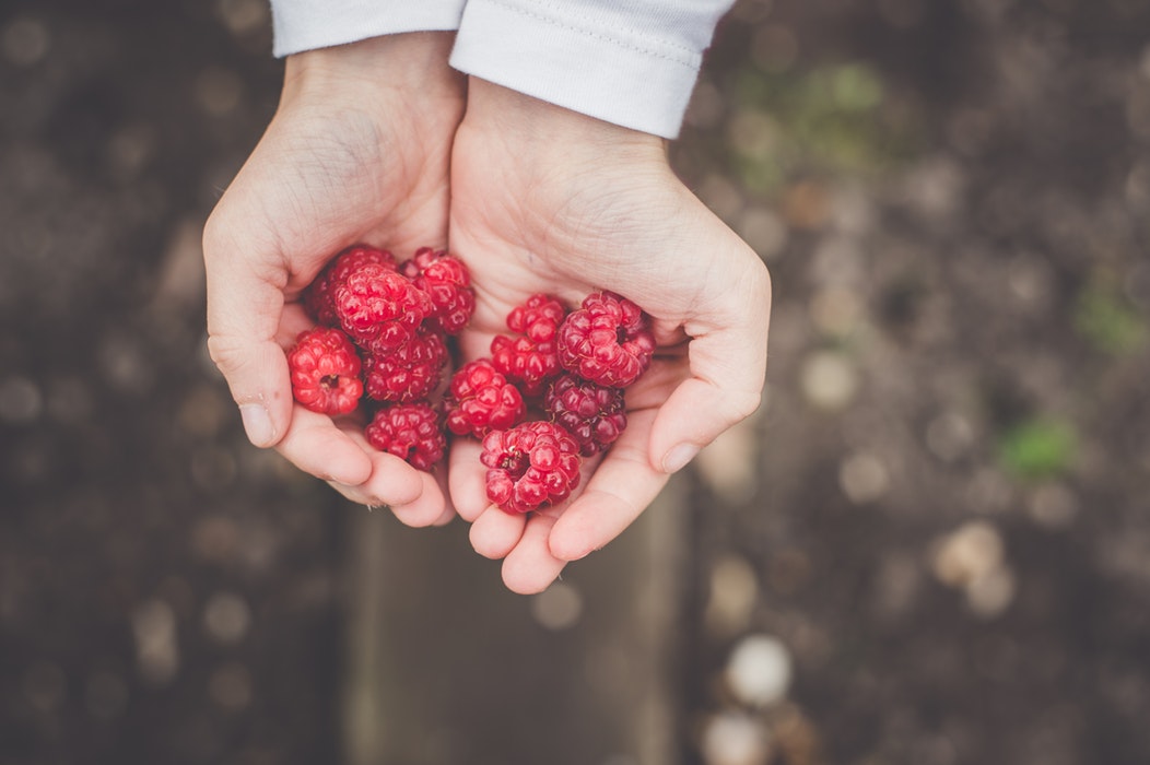 berries summer